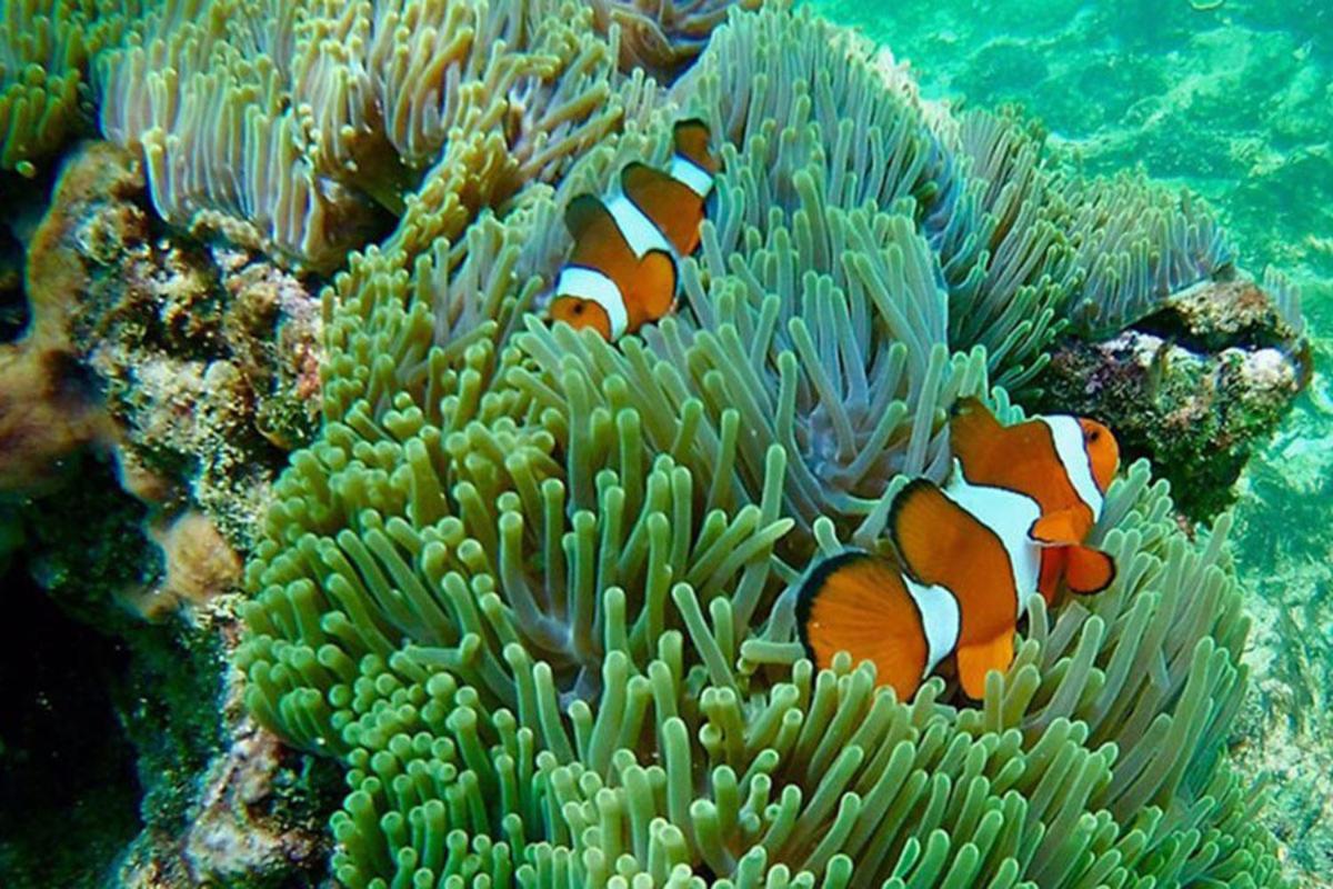 Krabi Grand Hotel Eksteriør billede